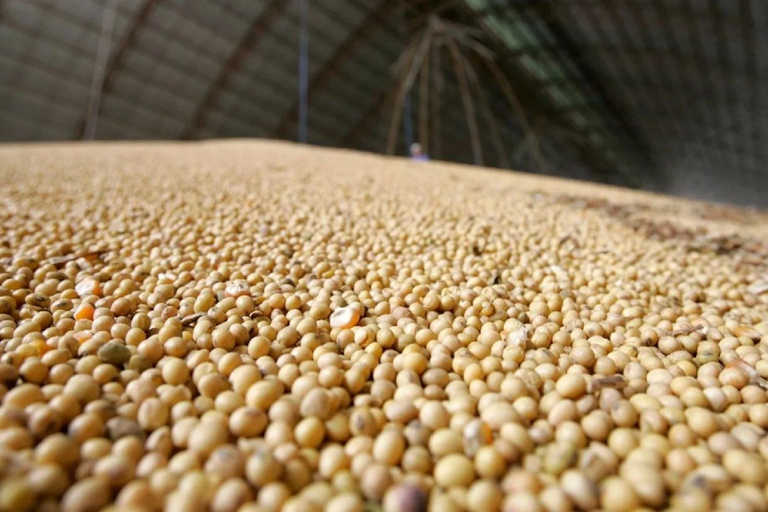 Cargill construirá nova unidade de processamento de soja nos EUA