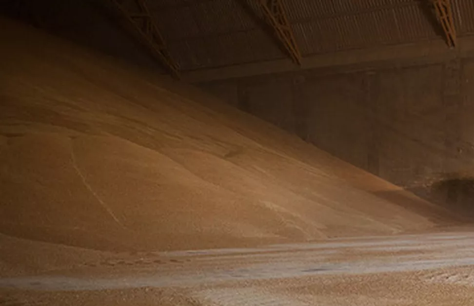 ONU pede reabertura de portos na Ucrânia para permitir exportação de alimentos