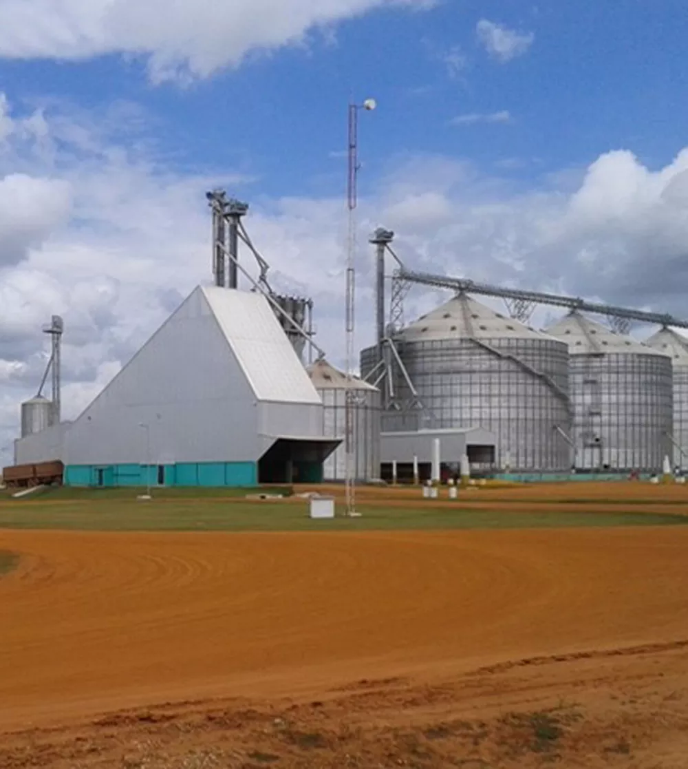 Faturamento da Cofco Internacional cresceu 37% em 2021