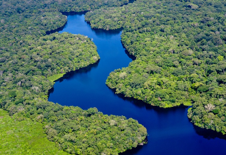 Governo federal edita decreto que cria mercado regulado brasileiro de carbono