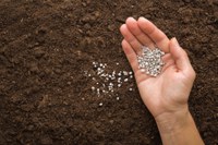 Mapa vai a Jordânia, Egito e Marrocos para ampliar negociações de fertilizantes