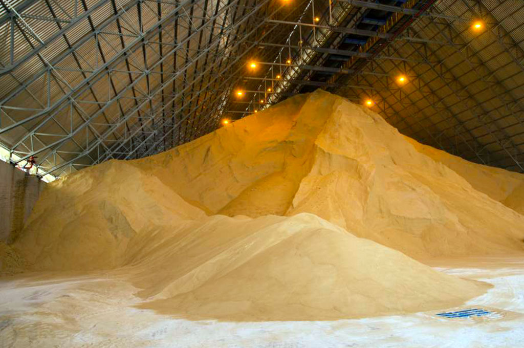 Santos tem urgência de recuperar competitividade no escoamento de fertilizantes, diz Biral