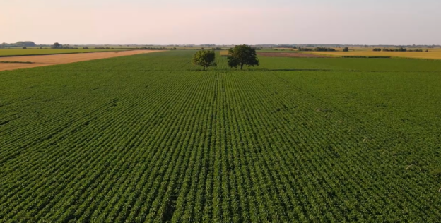 Produtividade na agricultura brasileira cresceu 400% em 45 anos