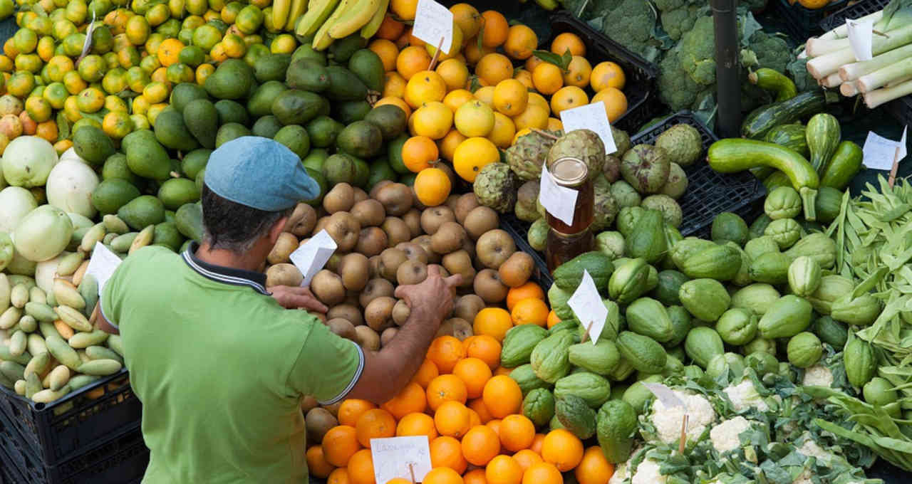 Guerra e clima ameaçam oferta global de alimento, dizem líderes do setor agrícola