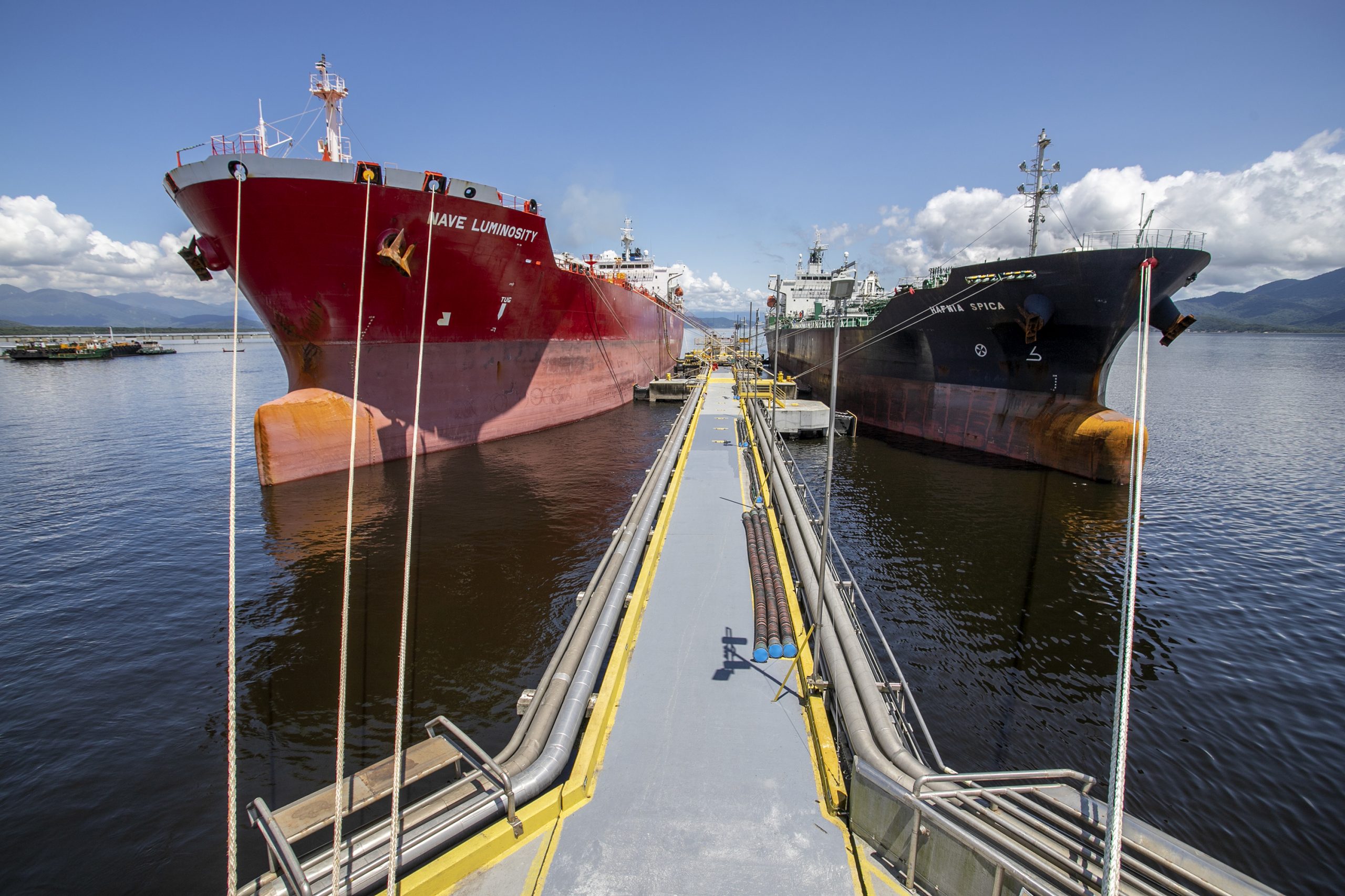 Líquidos de origem vegetal são destaques nas exportações do Porto de Paranaguá