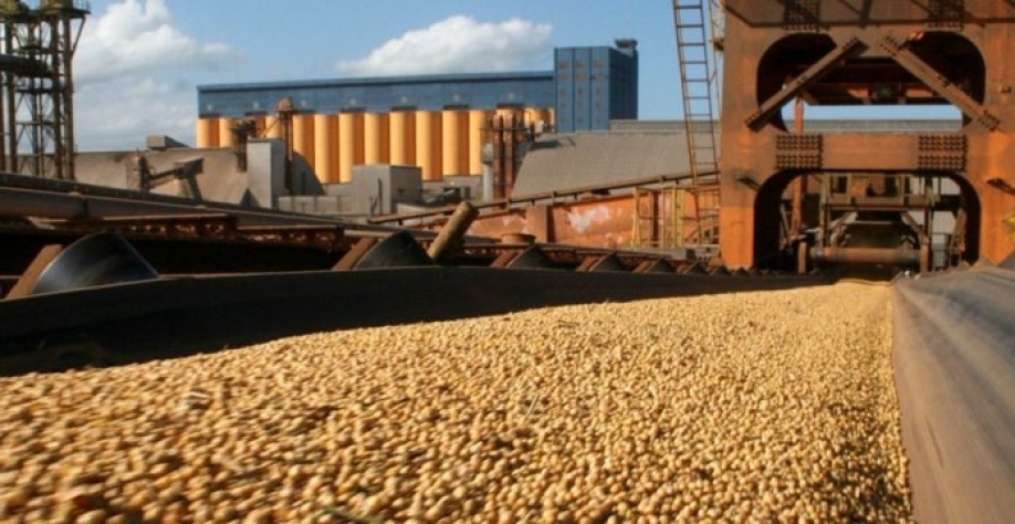 Agronegócio favorece balança, mas gasto com fertilizante sobe 178%