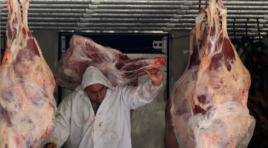 Exportação brasileira de carne bovina sobe 24% no 1º semestre, aponta associação