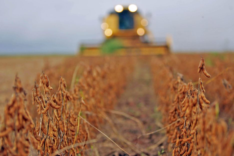 China abre mercado para farelo de soja do Brasil