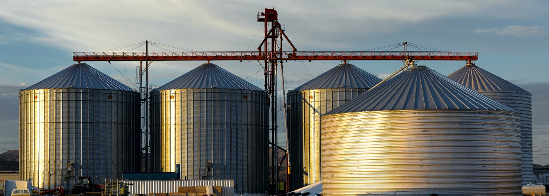 Armazenagem da produção agrícola em debate no Centro-Oeste Export