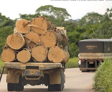 Amazônia e Cerrado têm recorde de queimadas