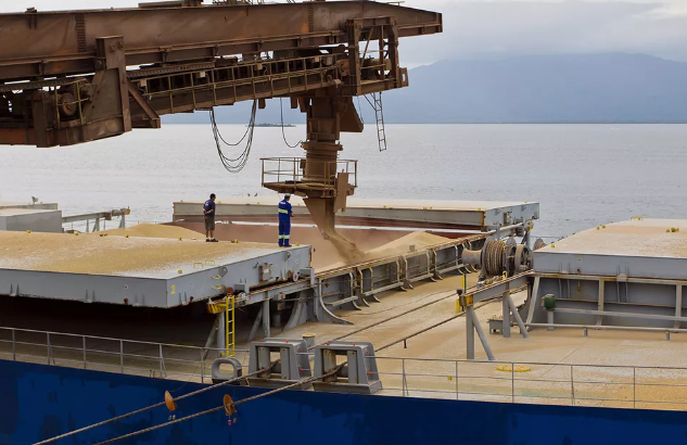 Porto de Paranaguá prevê aumento dos embarques do agro no terceiro trimestre