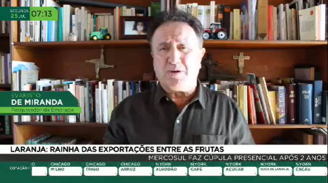 A laranja ainda lidera a exportação de frutas