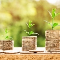 Valor da Produção Agropecuária paulista chega a R$ 125,84 bilhões