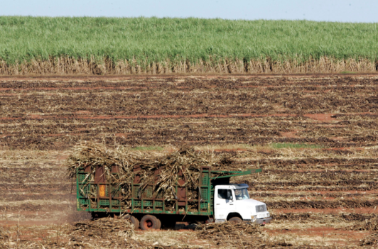 VLI e BP Bunge renovam contrato para exportação de açúcar por Santos