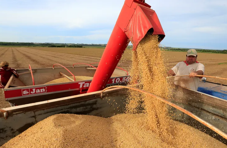 Confiança do agronegócio cai no 2º trimestre com cena econômica, revela índice da Fiesp