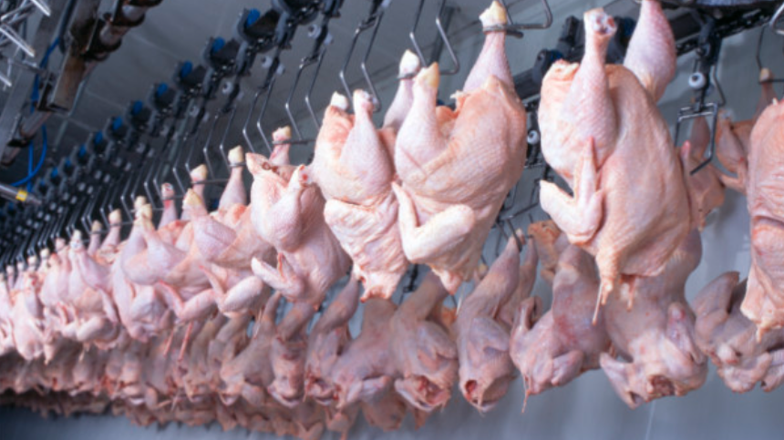 Exportação de frango brasileiro ao Catar cresce 84% em receita