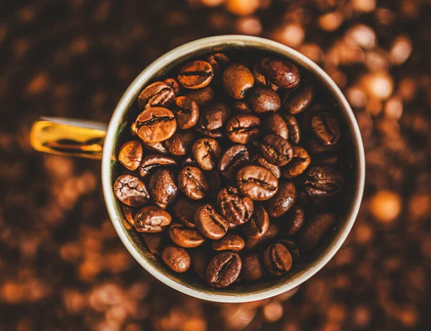 Exportações brasileiras de café caíram 14,9% em julho, diz Cecafé