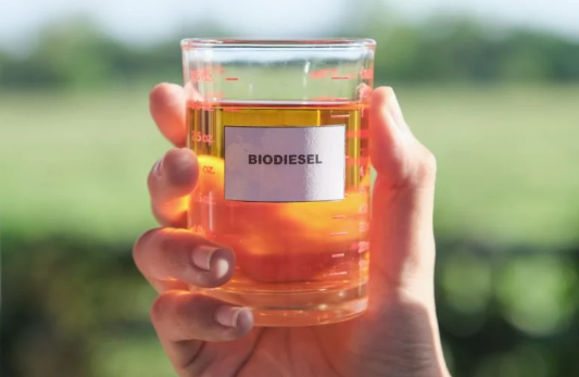 Dia Internacional do Biodiesel: como o sustentável biocombustível é produzido