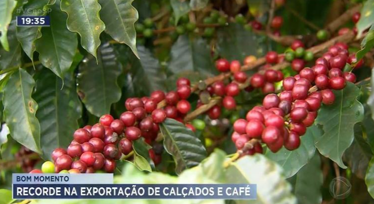 Bom momento: recorde na exportação de calçados e café