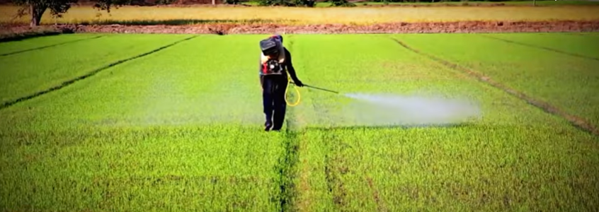 Conexão Agro: Produção nacional de fertilizantes é discutida em congresso