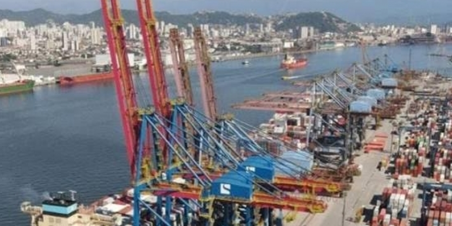 Porto de Santos: Milho liderou exportações em julho com alta de 104%