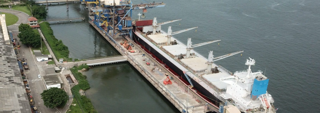 Mau tempo interrompe navegação no Porto de Santos por 11 horas