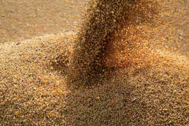 Caramuru toma empréstimo “verde” de R$ 430 milhões para investir em farelo não transgênico