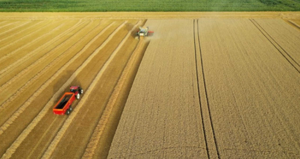 Brasil supera EUA em competitividade para exportar soja à China, diz CEO da Rumo