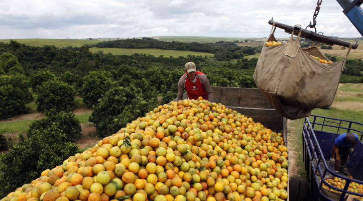 Exportações de suco de laranja do Brasil sobem 3,24% no 1º trimestre da safra