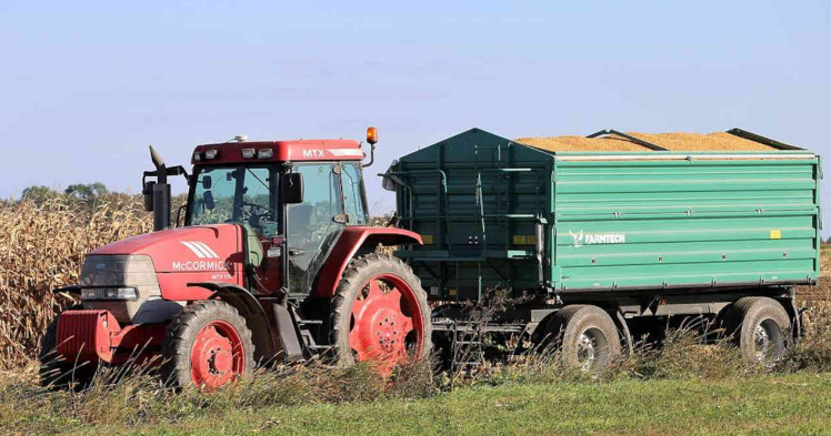Anec estima exportação de milho do Brasil em 4,21 mi t em outubro
