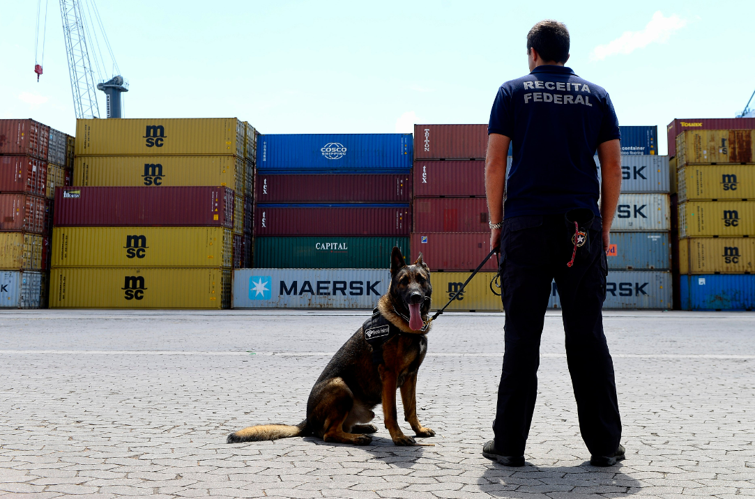 Addy, o cachorro que ‘cãofisca’ produtos nos portos e aeroporto do ES