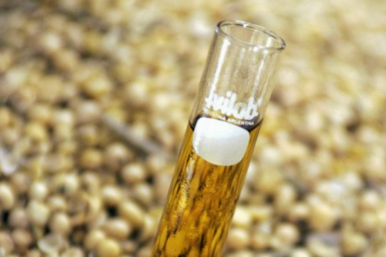 Bunge e Olleco criam joint venture para coleta de óleo e produção de combustível renovável