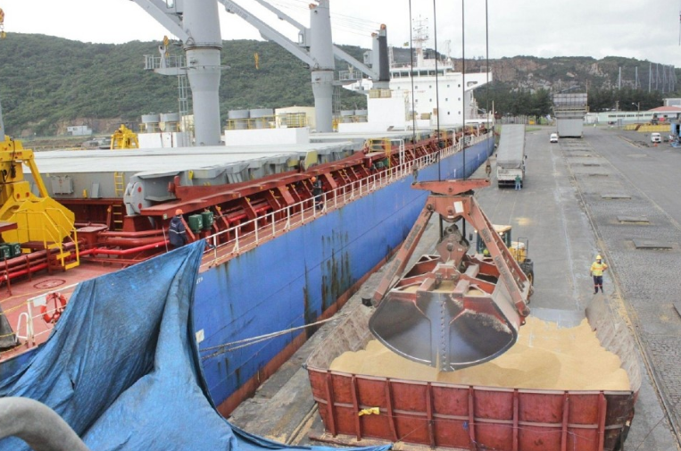 Exportações de arroz em setembro têm alta de 53%