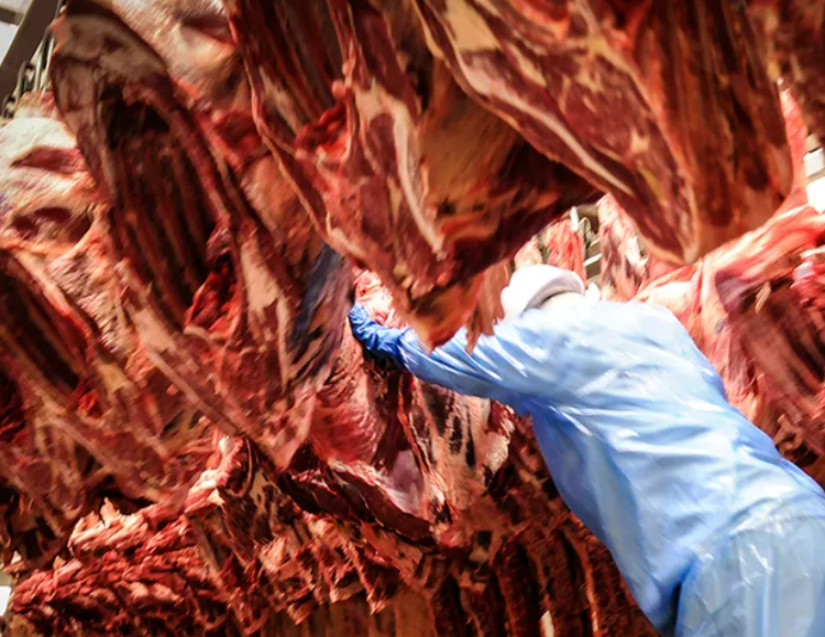 Ministro vai para Coreia do Sul e Japão negociar abertura para carnes brasileiras