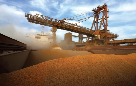 China atualiza lista de exportadores brasileiros de milho aprovados