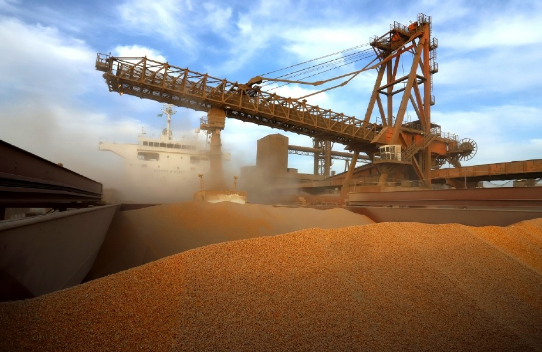 Conab projeta aumento de 12,5% na safra do milho e prevê nova alta das exportações