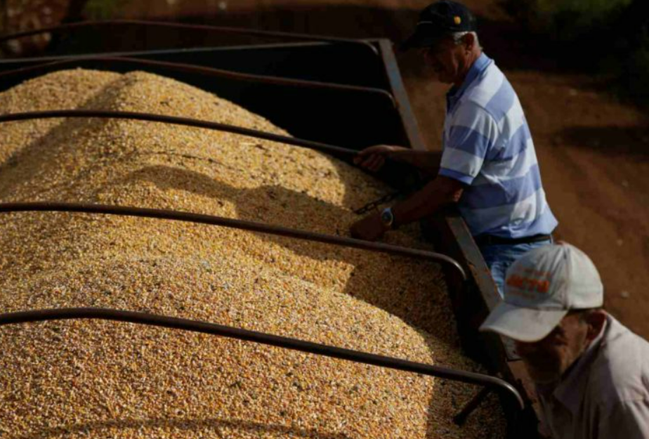 Brasil poderia exportar até 50 milhões de toneladas em 2023 com grande safra e China