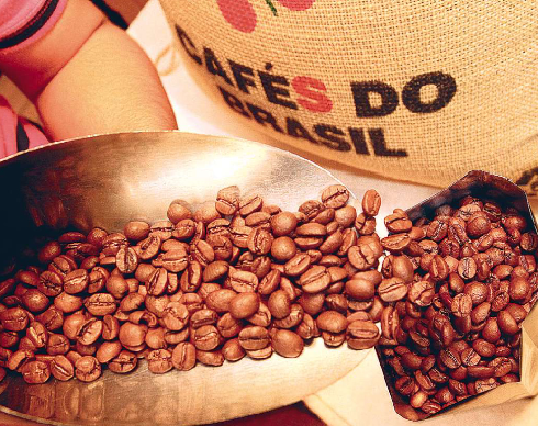 Embarques de café crescem em Santos