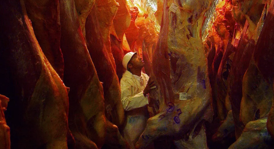 Receita da exportação de carne bovina cresceu 74% em novembro