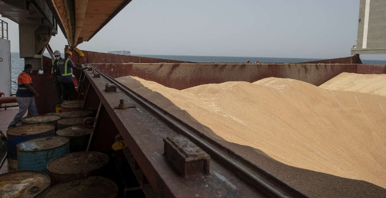 Exportações de grãos da Ucrânia caem 31,5% na safra 2022/23; veja volume