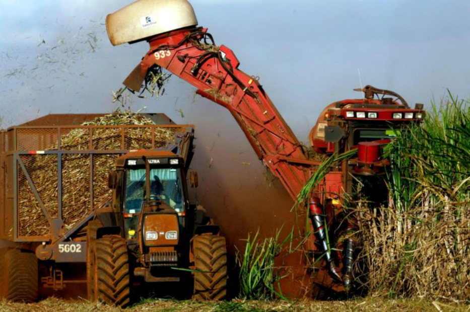 Exportações de açúcar e petróleo do Brasil saltam em dezembro