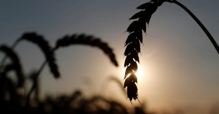 Ucrânia garantirá fornecimento de energia para instalações agrícolas importantes