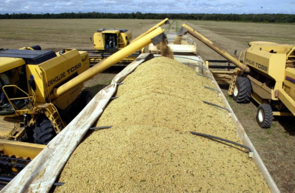 Receita com exportação de soja cresce 20,8% em 2022 e a de milho triplica