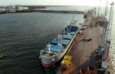 Porto de Vila do Conde registra primeira exportação de sementes de gergelim