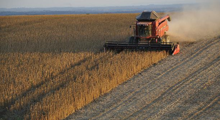 Com aumento de 36% nas exportações, agro lidera balança comercial