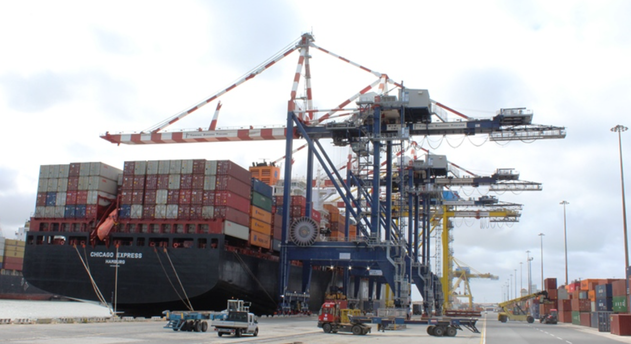 MSC compra TDT no porto de Livorno