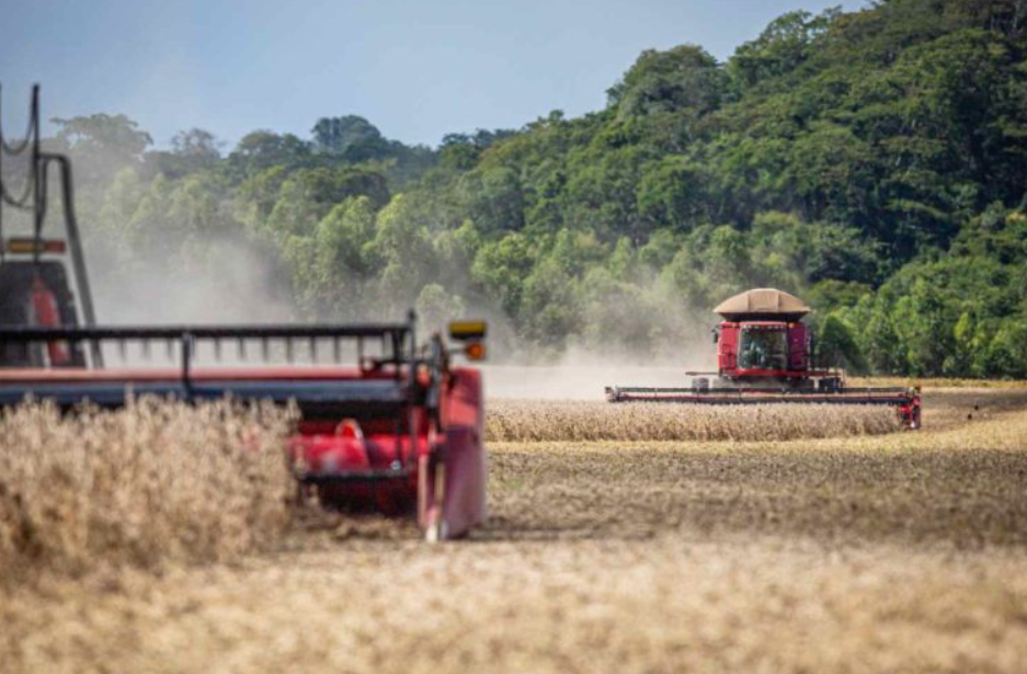 Anec eleva projeções de exportação de grãos e farelo de soja do Brasil em janeiro