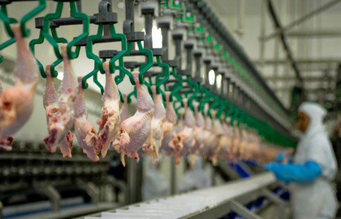 Agronegócio do Brasil é o maior exportador de carne de frango do mundo
