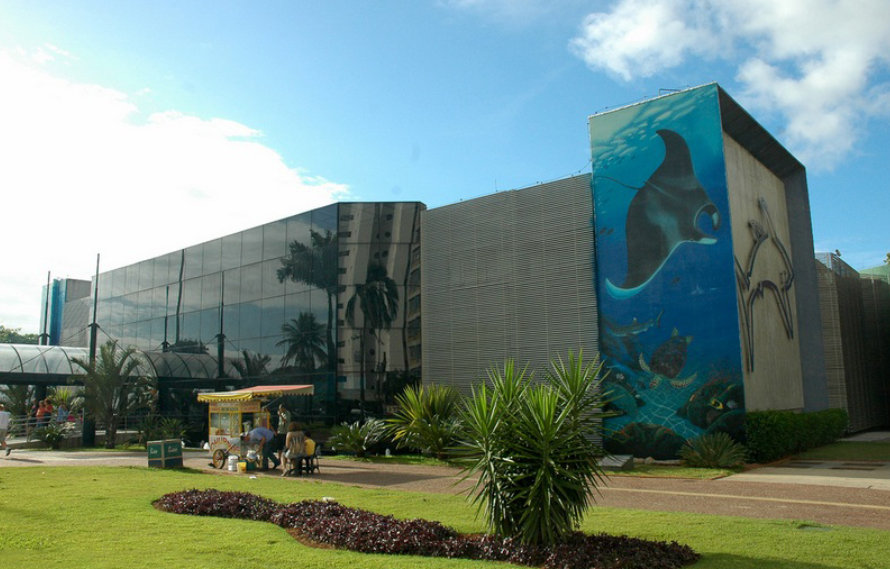 Festival Oceano promove shows e atividades de educação ambiental ao ar livre em Santos