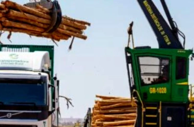 Aiko e Eldorado Brasil testam conectividade de máquinas em florestas plantadas